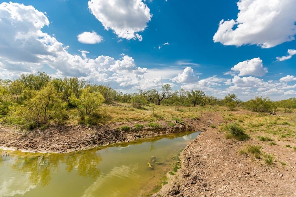 311 acres in Runnels County - photo 25