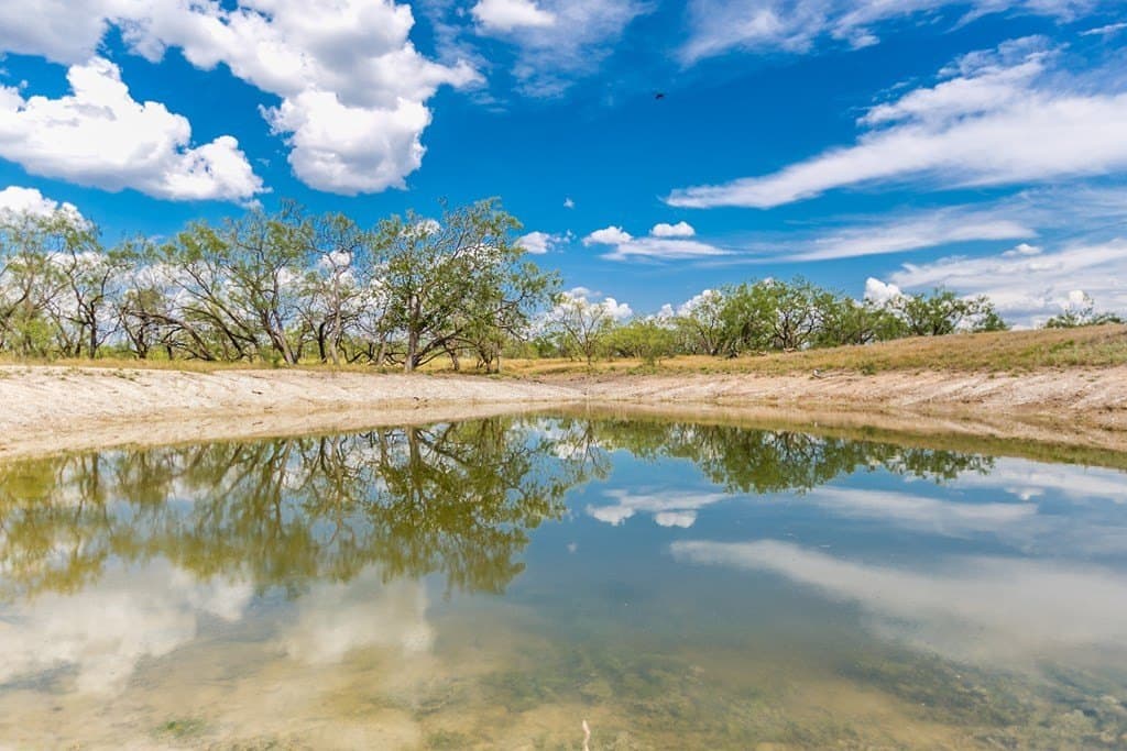 311 acres in Runnels County - photo 39