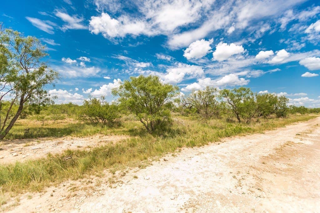 311 acres in Runnels County - photo 3