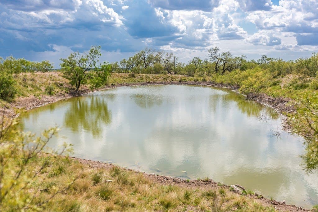 311 acres in Runnels County - photo 22