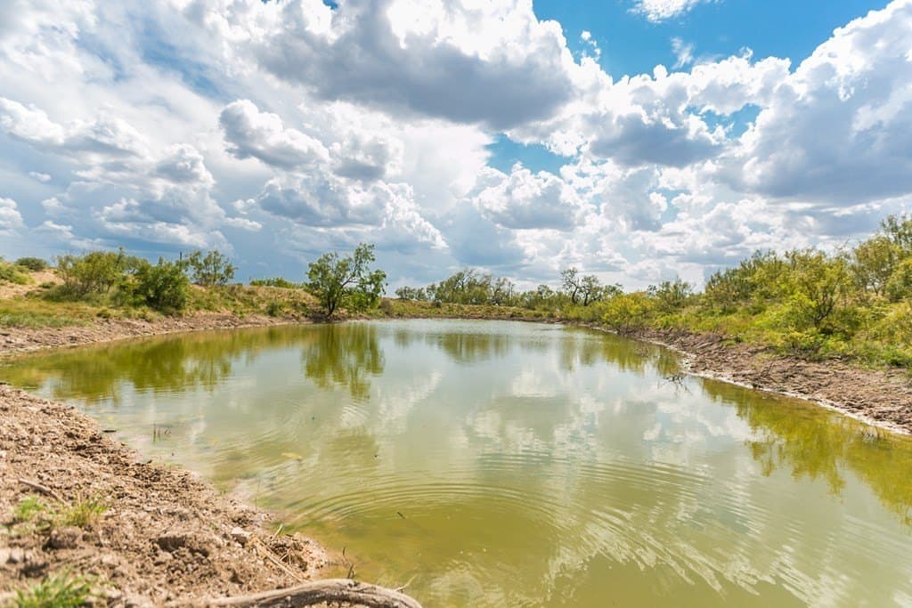 311 acres in Runnels County - photo 24