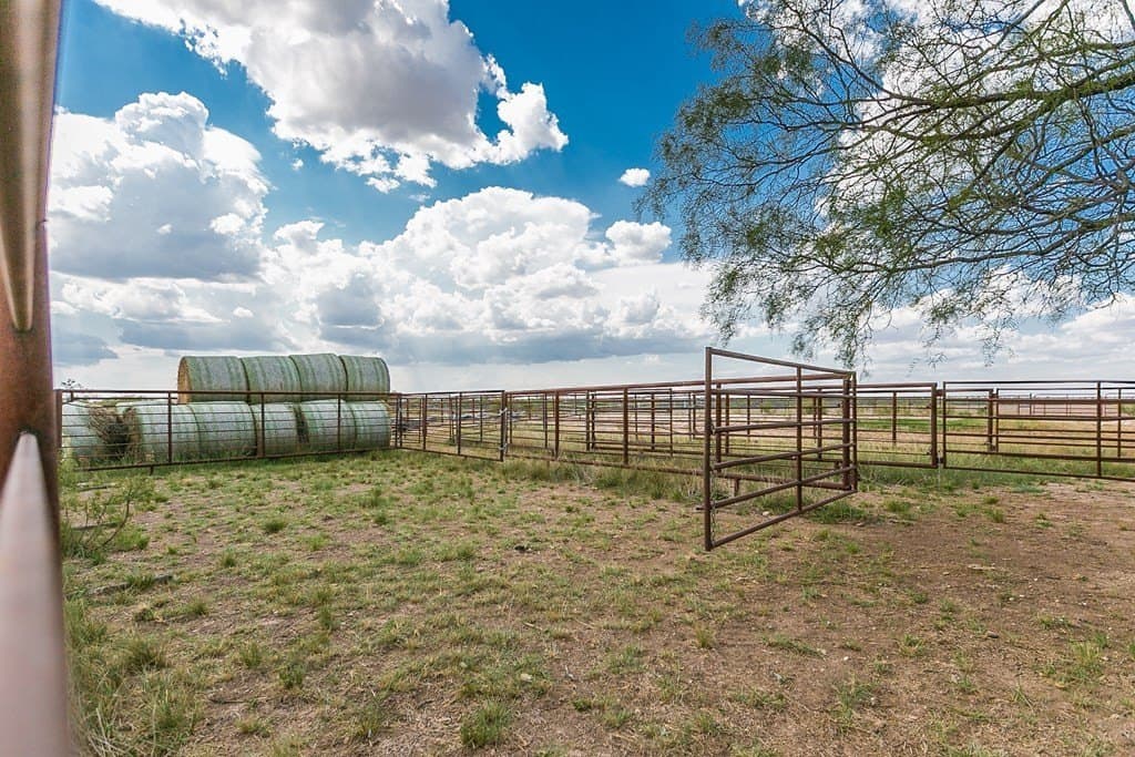 311 acres in Runnels County - photo 35