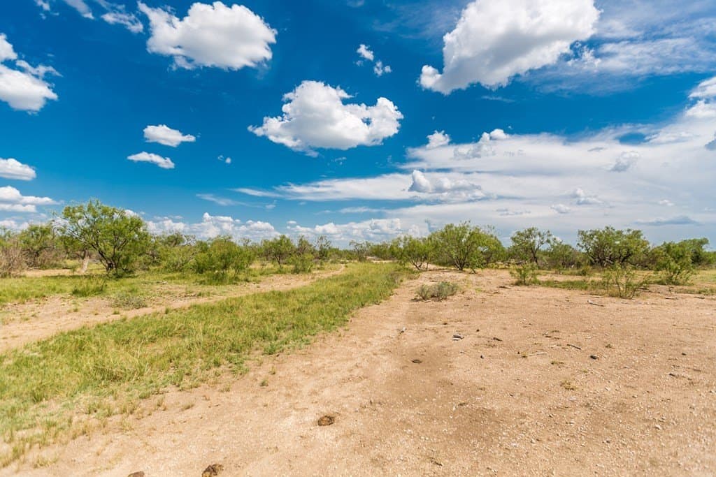 311 acres in Runnels County - photo 14