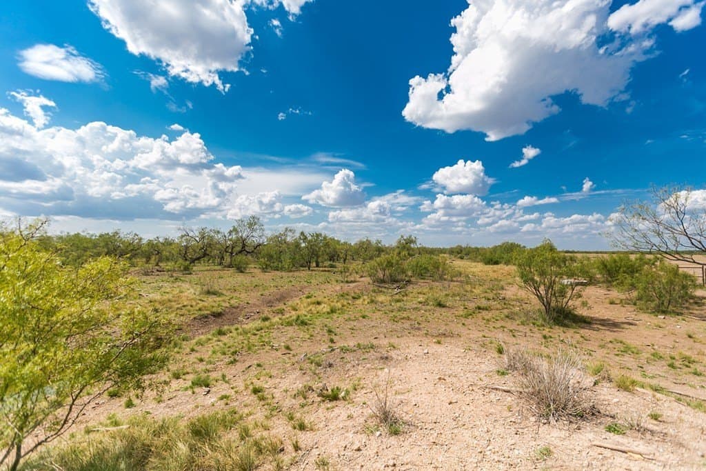 311 acres in Runnels County - photo 23