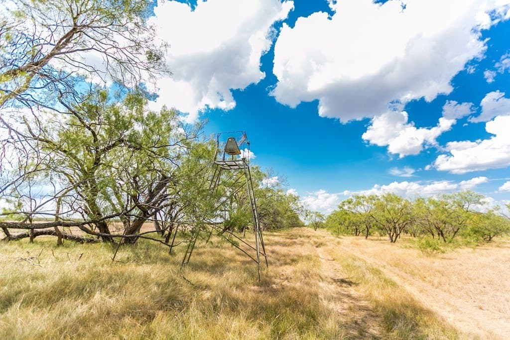 311 acres in Runnels County - photo 44