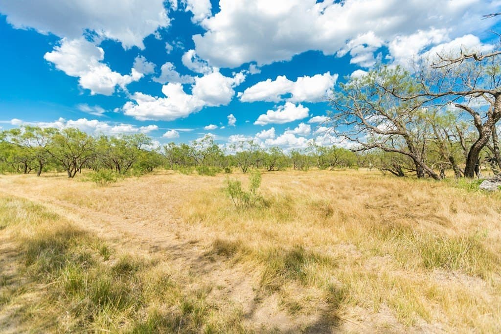 311 acres in Runnels County - photo 46