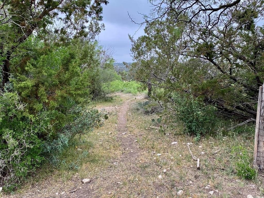 356.67 acres in Val Verde County - photo 54