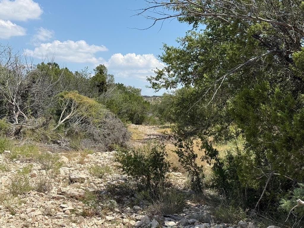 356.67 acres in Val Verde County - photo 69