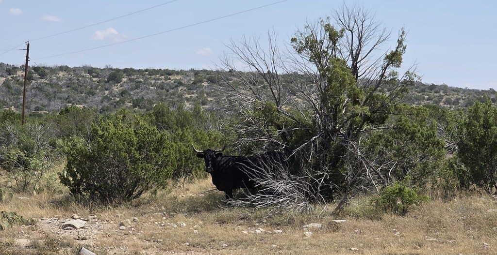 356.67 acres in Val Verde County - photo 11