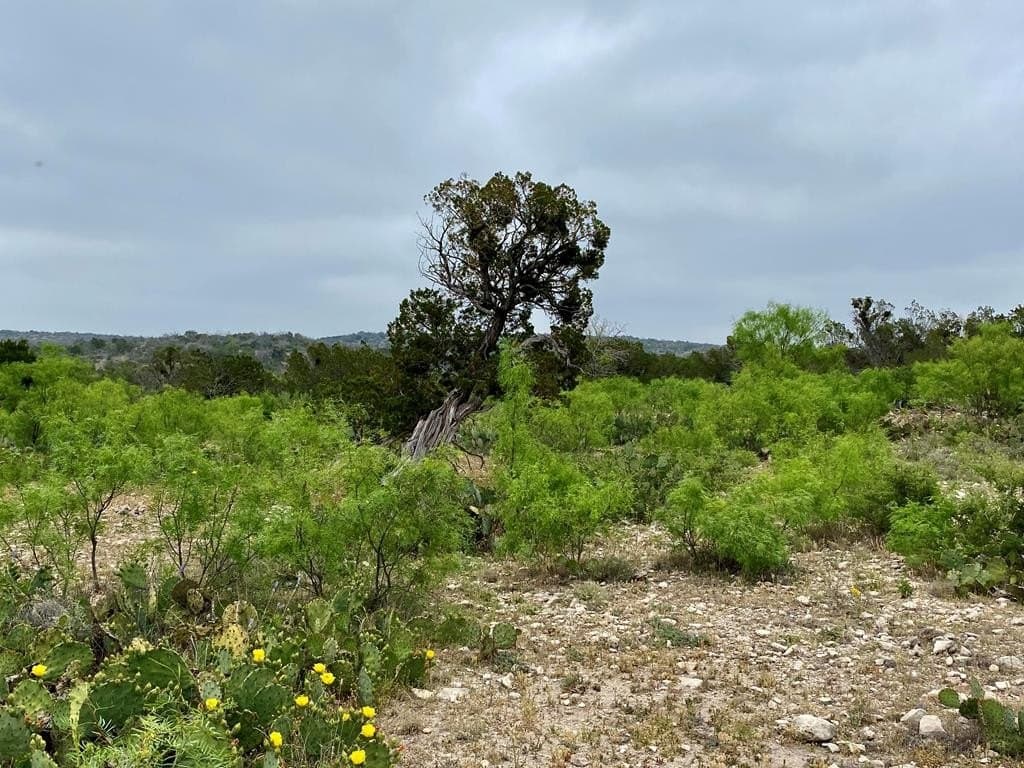 356.67 acres in Val Verde County - photo 63