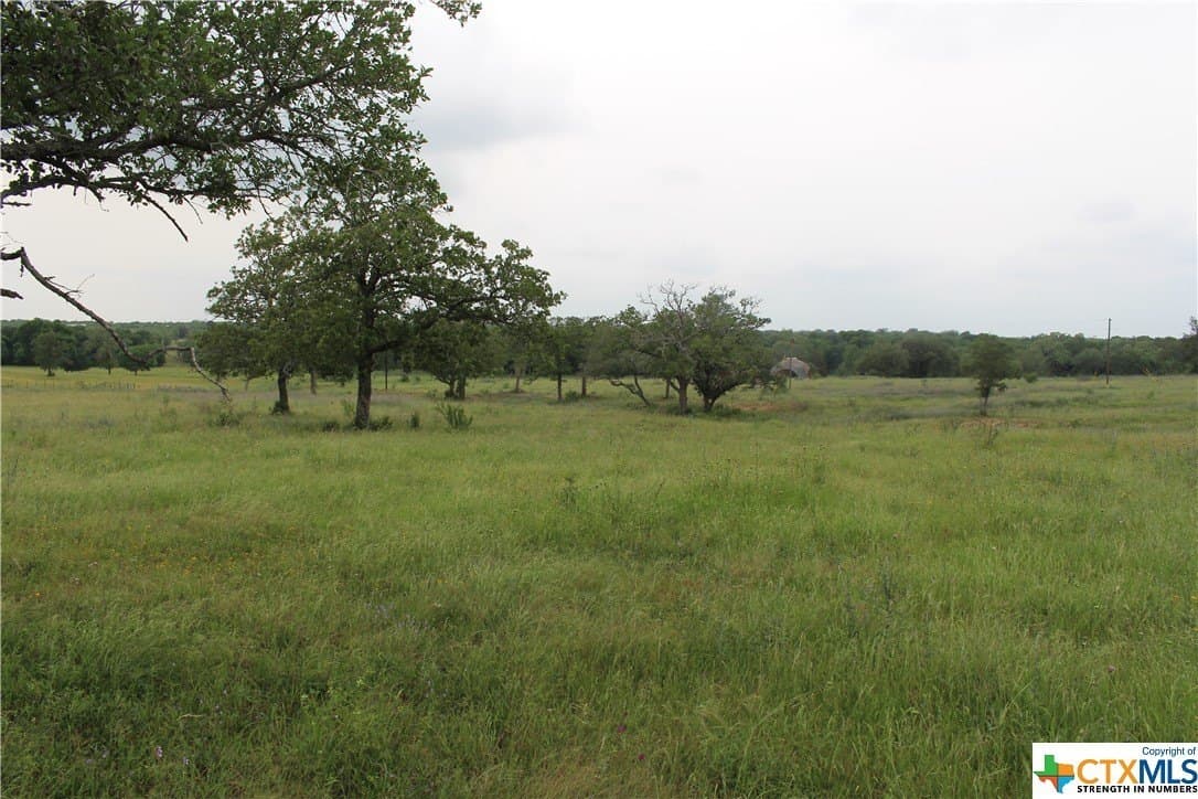 35.77 acres in Guadalupe County - photo 8