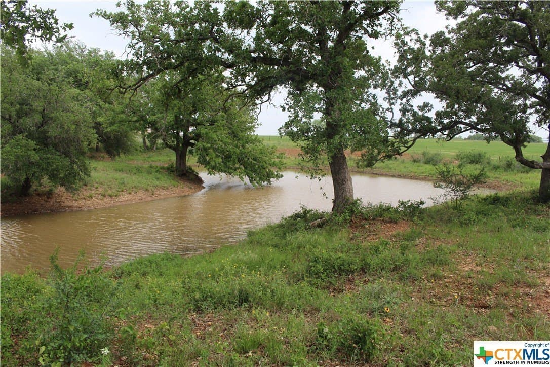 Fm-2438 Road
