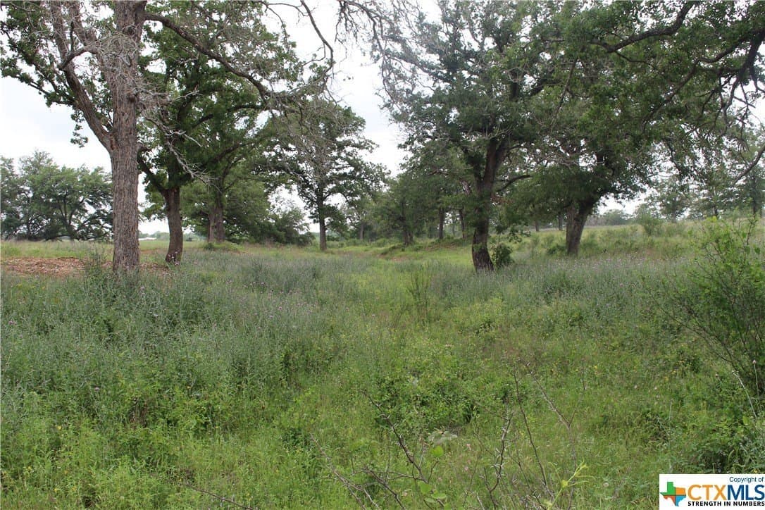 35.77 acres in Guadalupe County - photo 4