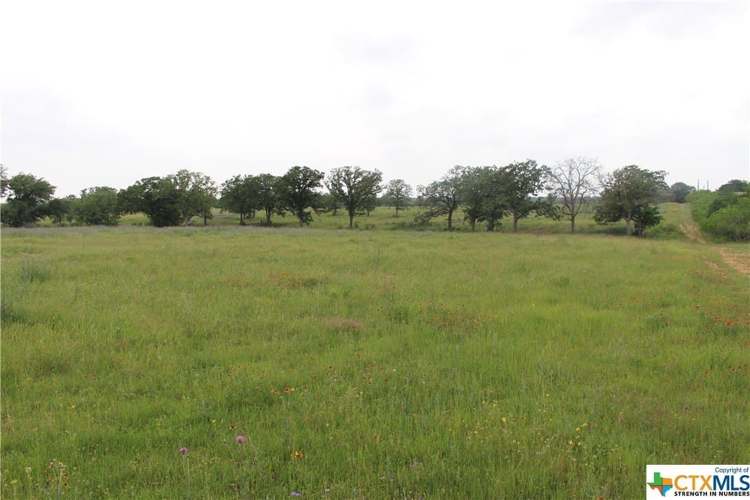 35.77 acres in Guadalupe County - photo 3