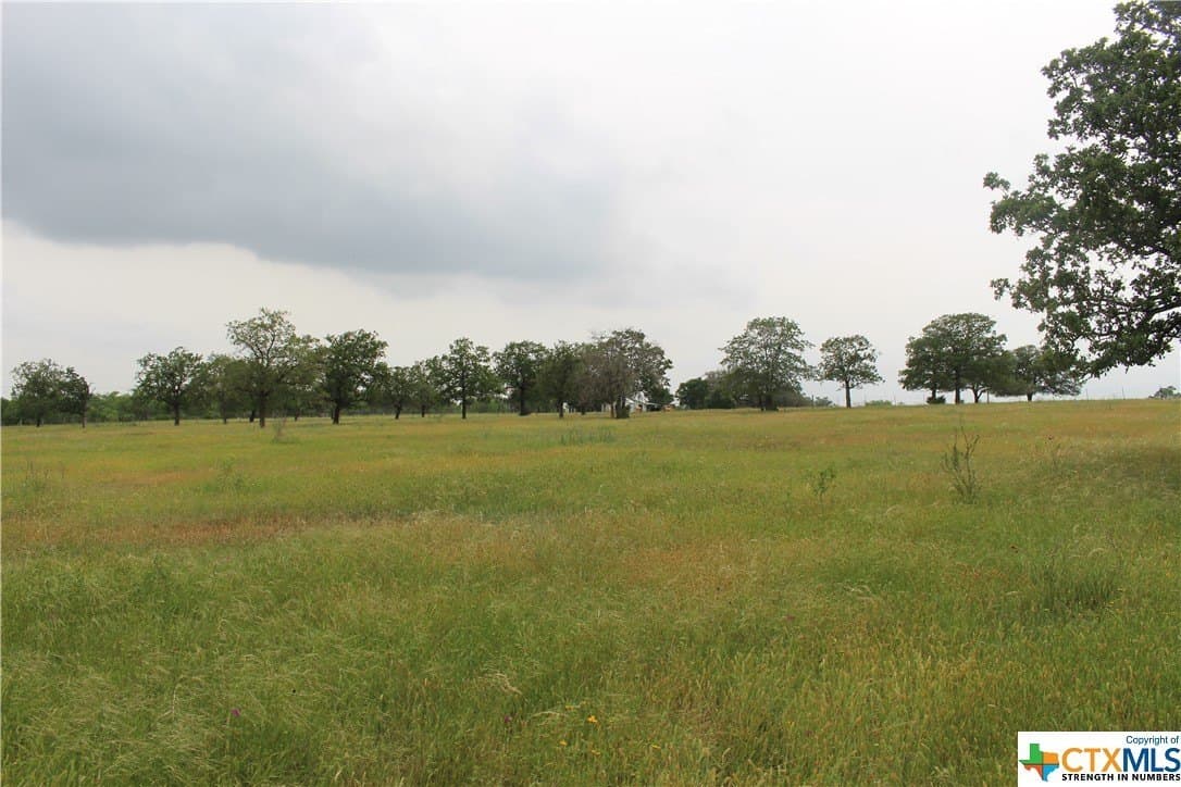 35.77 acres in Guadalupe County - photo 6