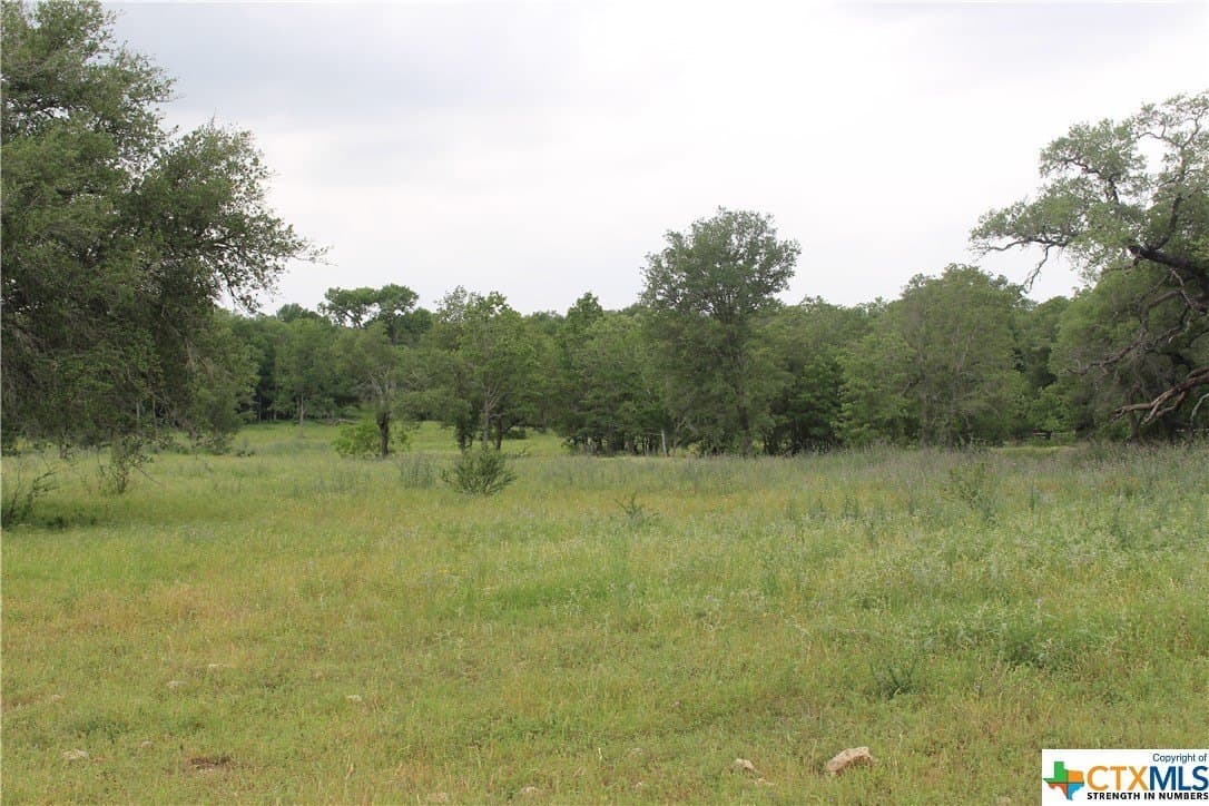 35.77 acres in Guadalupe County - photo 13
