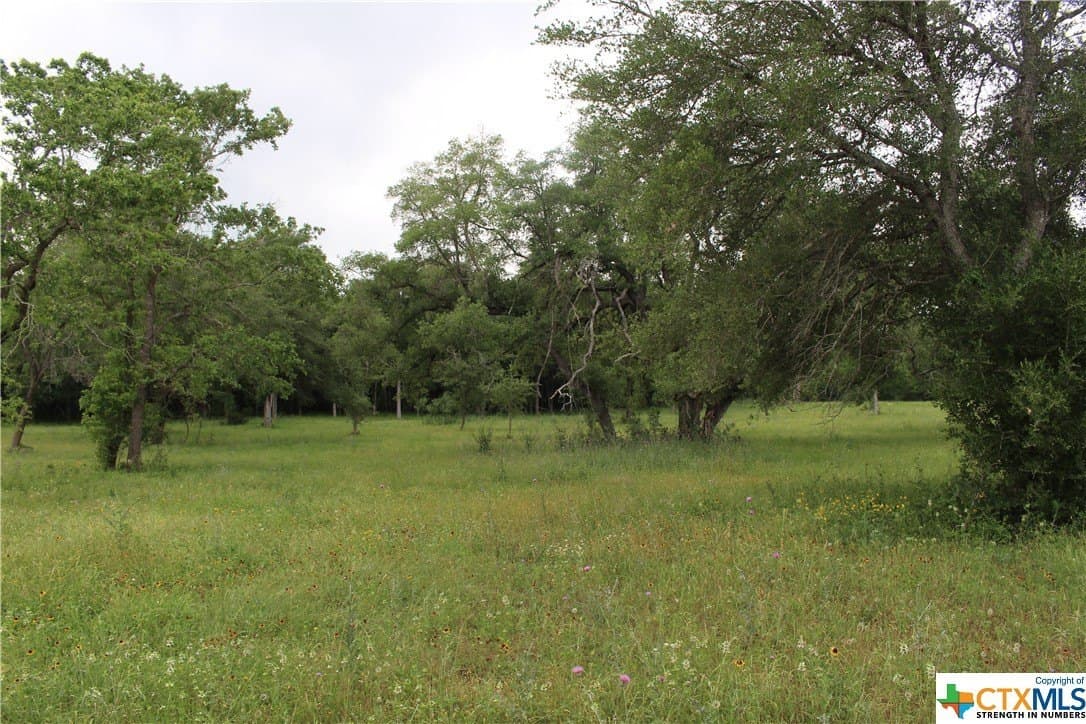 35.77 acres in Guadalupe County - photo 15