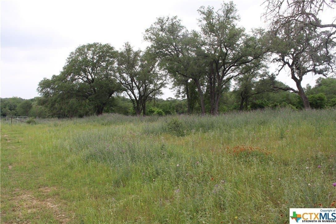 35.77 acres in Guadalupe County - photo 10