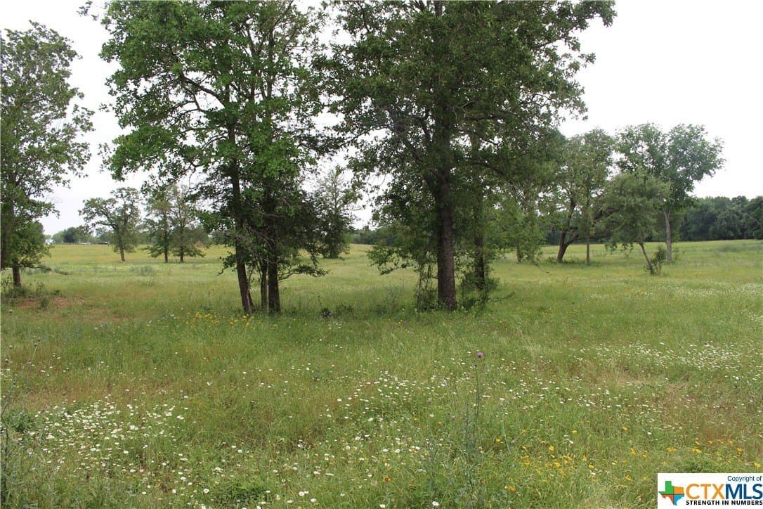 35.77 acres in Guadalupe County - photo 17