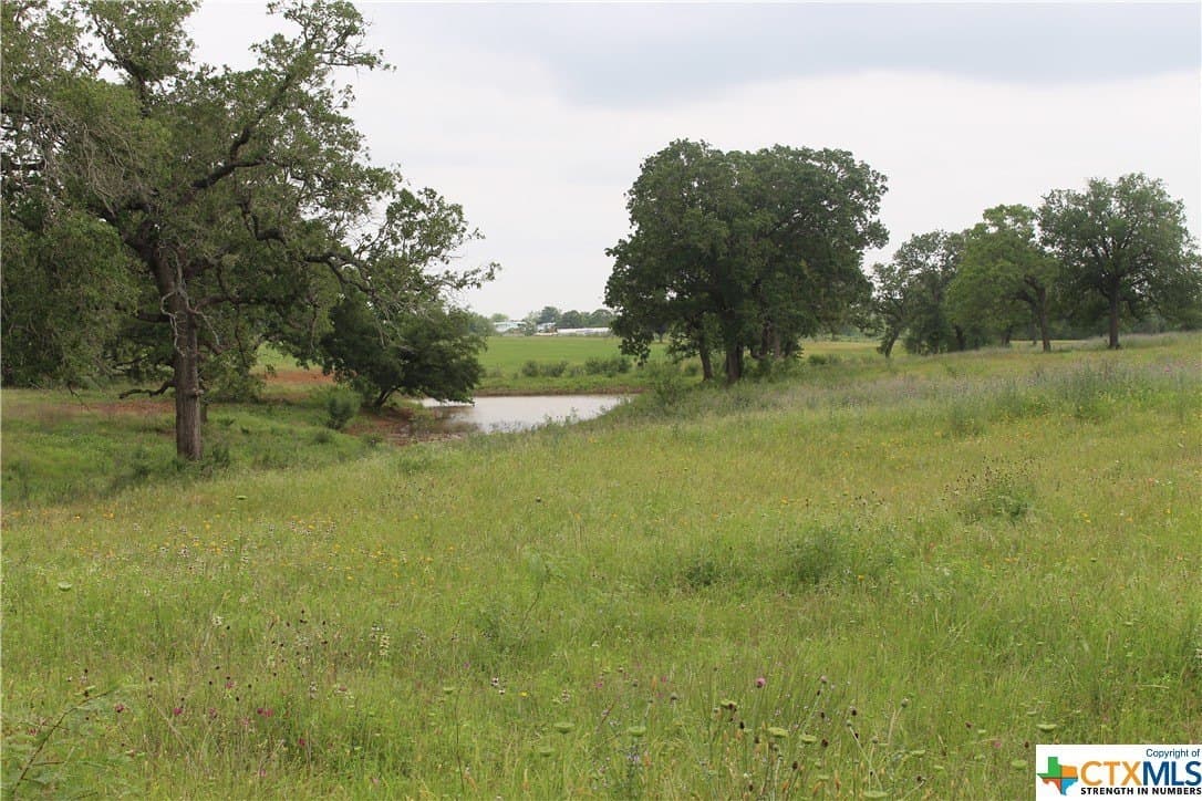 35.77 acres in Guadalupe County - photo 5