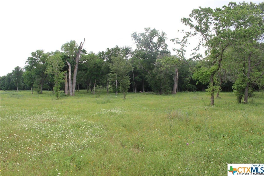 35.77 acres in Guadalupe County - photo 16