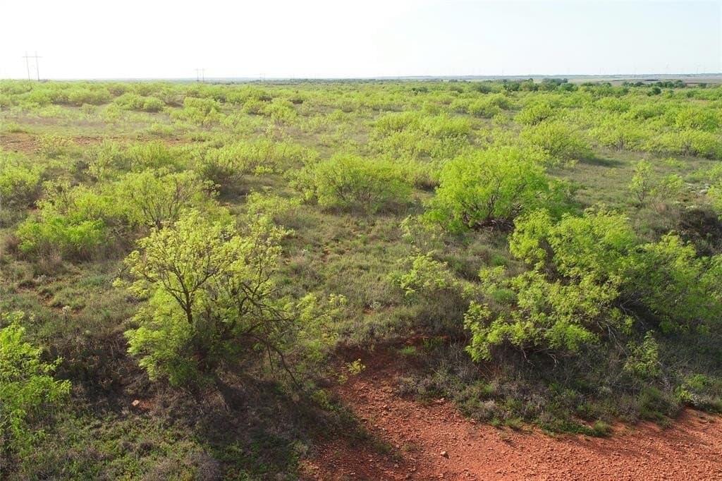 88.88 acres in Wilbarger County - photo 13