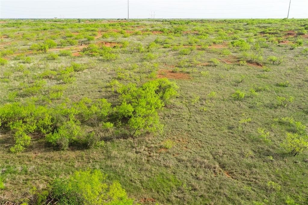 88.88 acres in Wilbarger County - photo 9