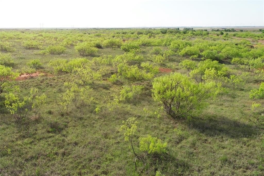 88.88 acres in Wilbarger County - photo 12