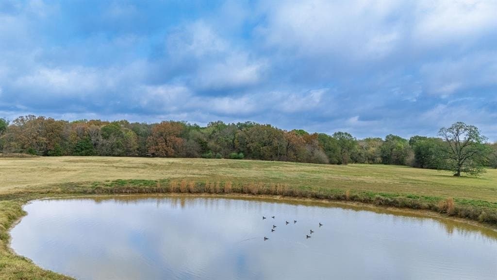 17 acres in Delta County - photo 5