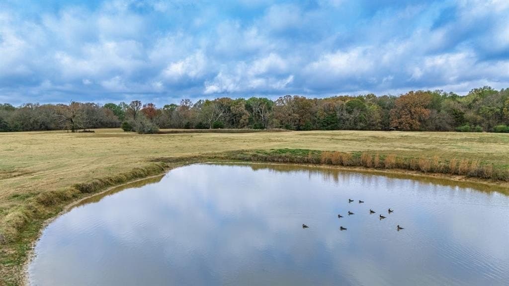 17 acres in Delta County - photo 3