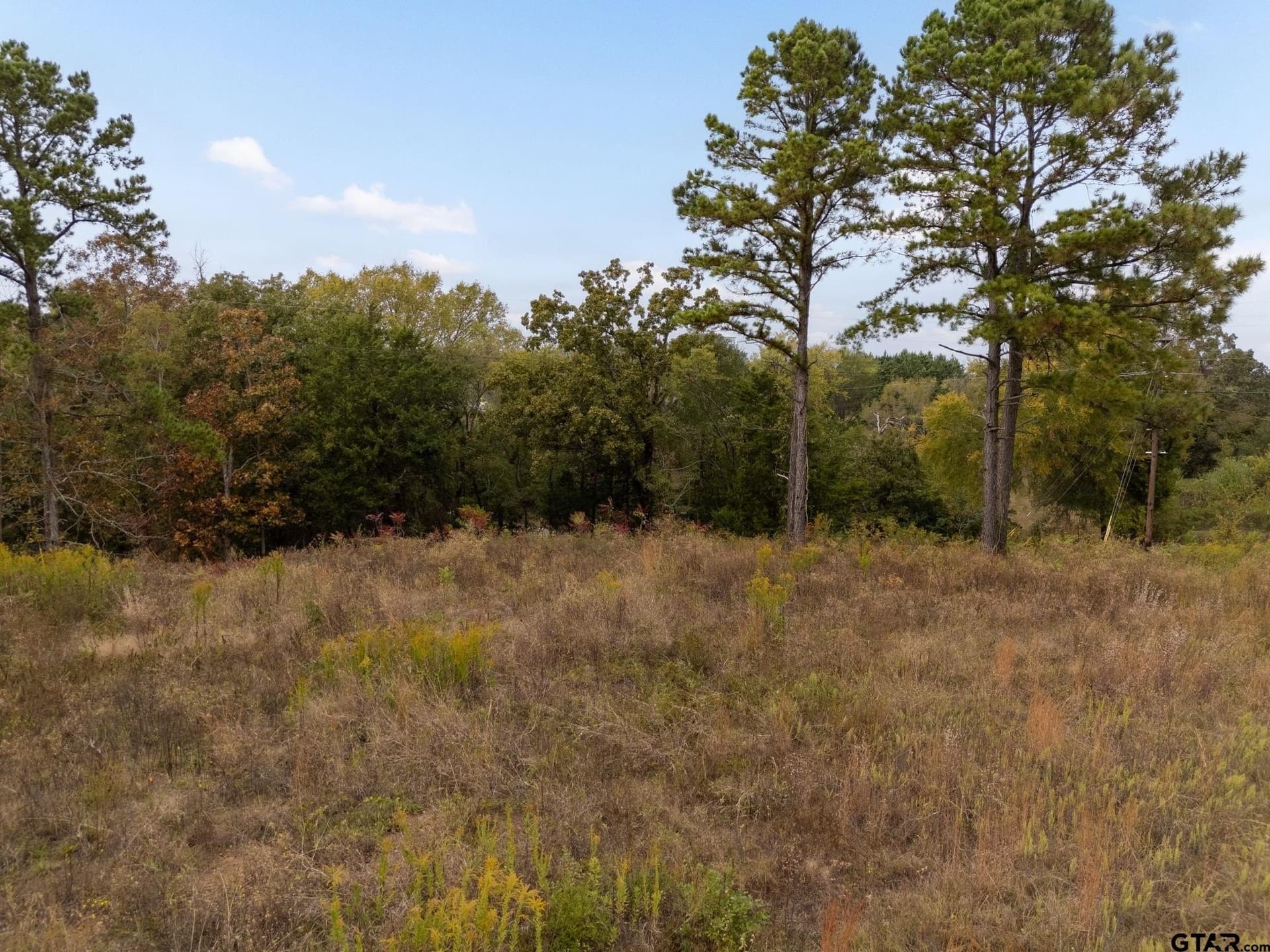 1.92 acres in Smith County - photo 9