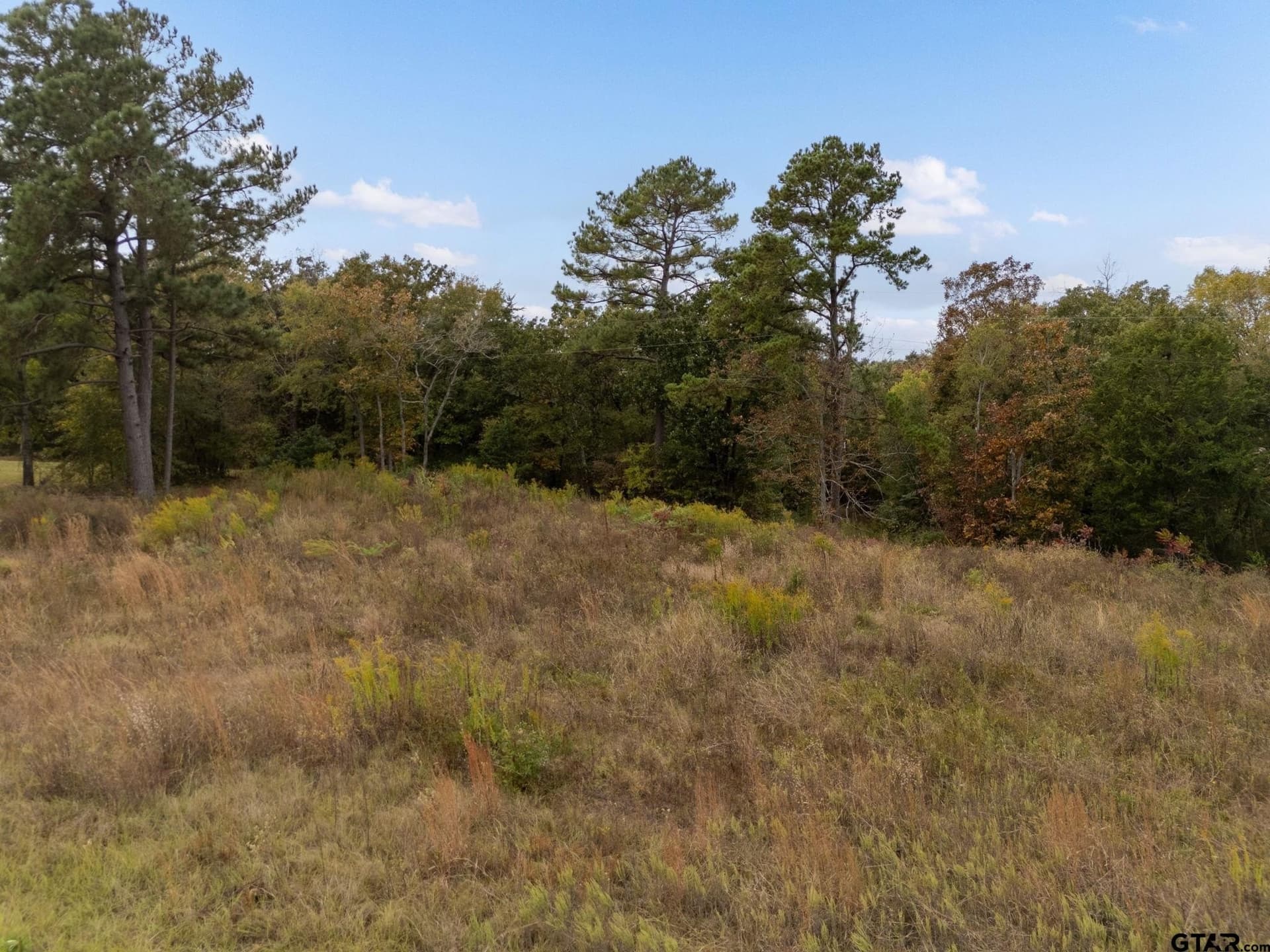 1.92 acres in Smith County - photo 10