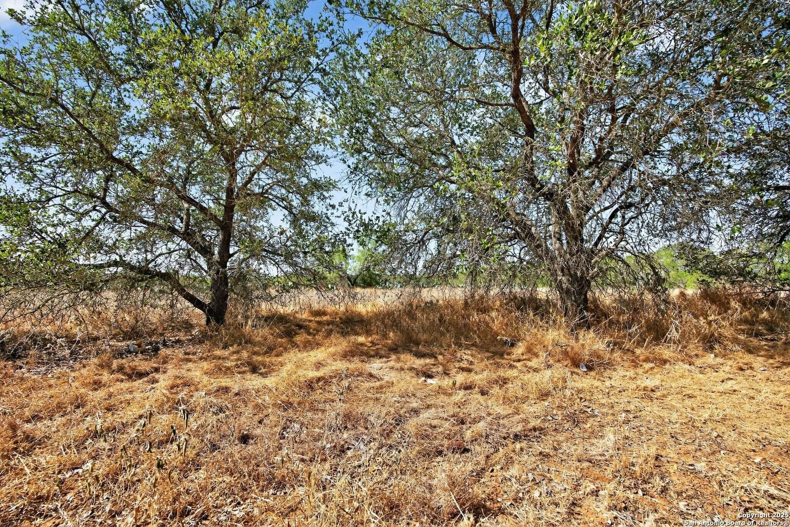 12.34 acres in Atascosa County - photo 7