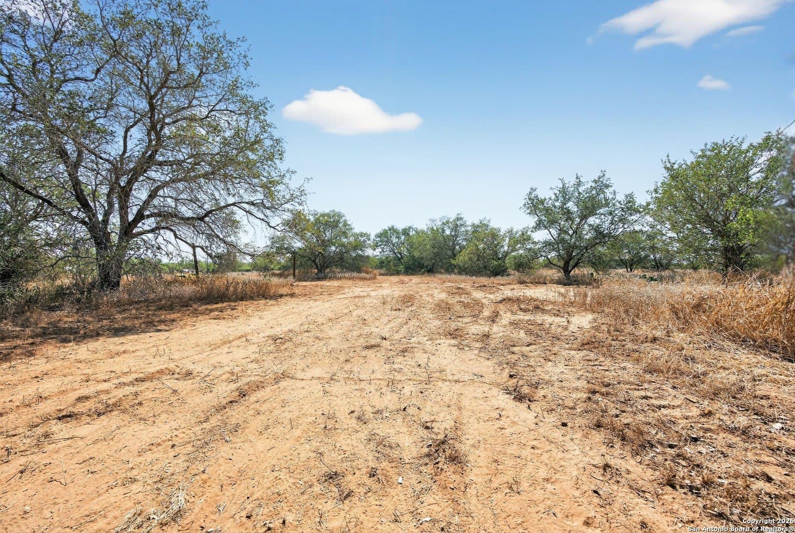 12.34 acres in Atascosa County - photo 10