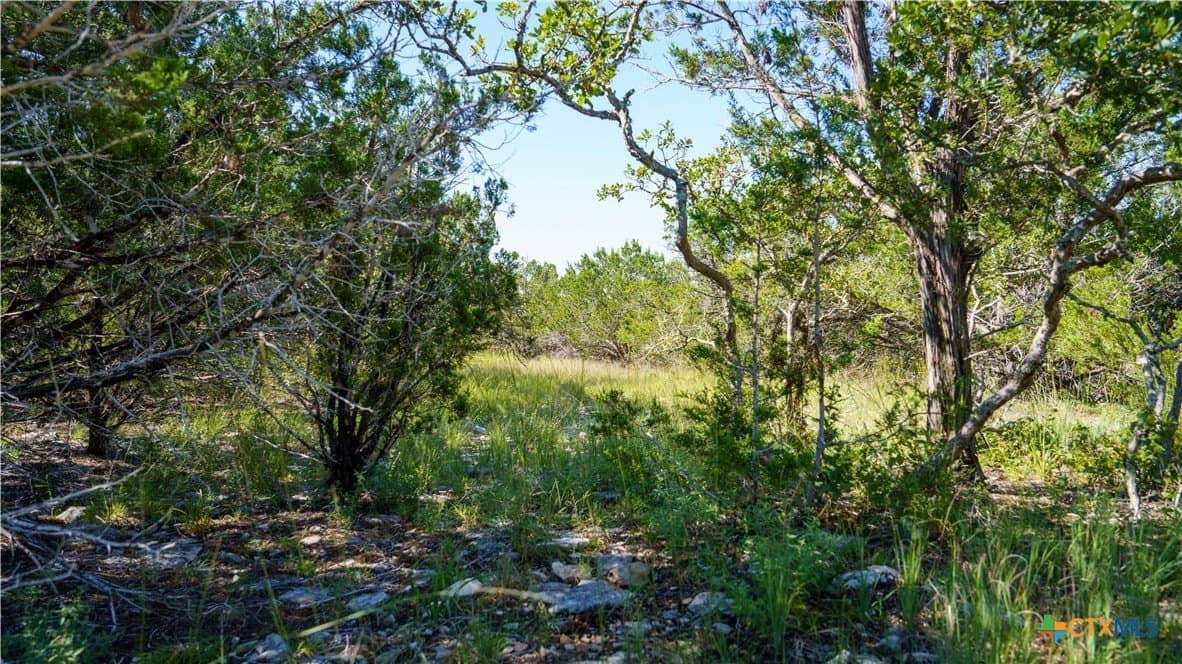 20.04 acres in Kerr County - photo 4