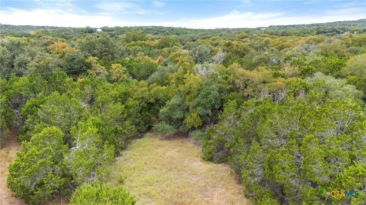 0.88 acres in Comal County - photo 21