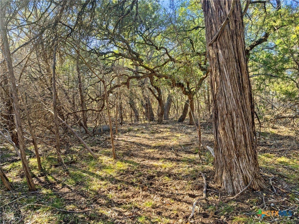 0.88 acres in Comal County - photo 4
