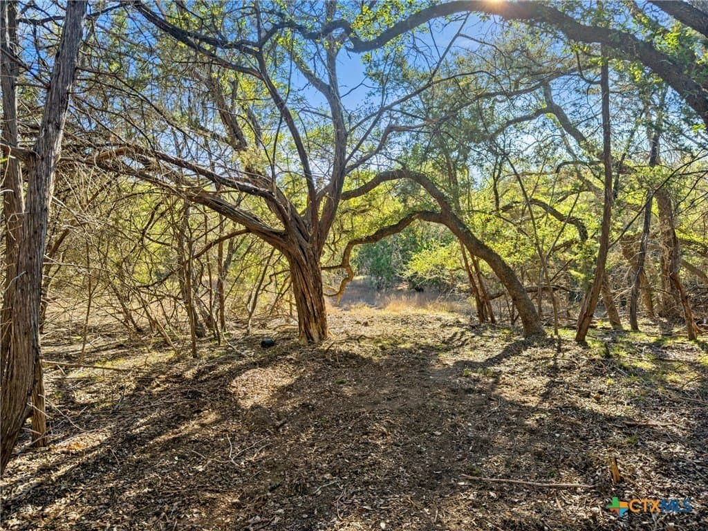 0.88 acres in Comal County - photo 8