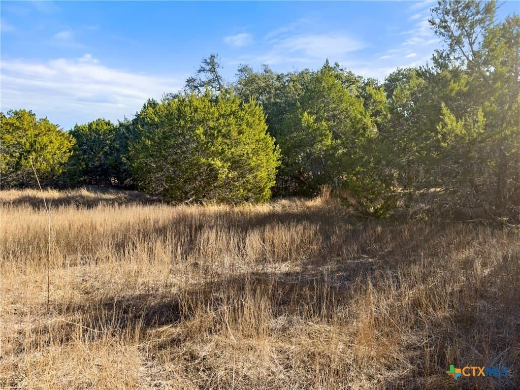 0.88 acres in Comal County - photo 13