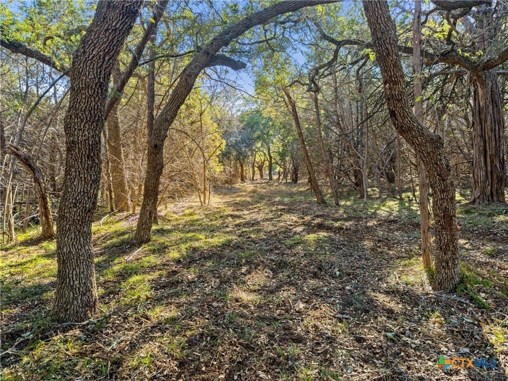 0.88 acres in Comal County - photo 3