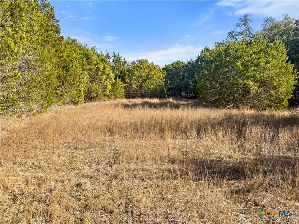 0.88 acres in Comal County - photo 12