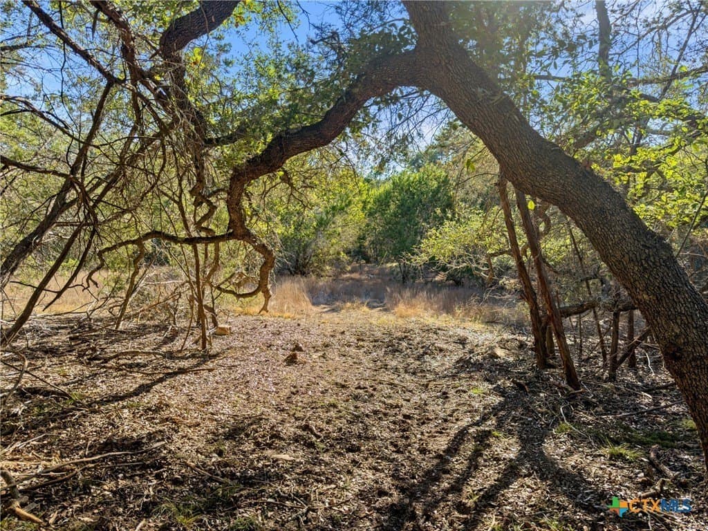 0.88 acres in Comal County - photo 9
