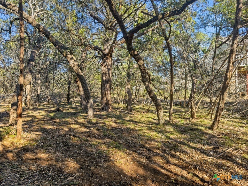 0.88 acres in Comal County - photo 5