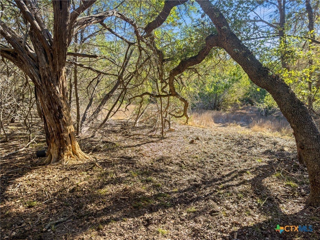 0.88 acres in Comal County - photo 11