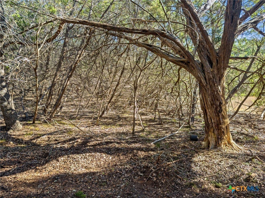 0.88 acres in Comal County - photo 10