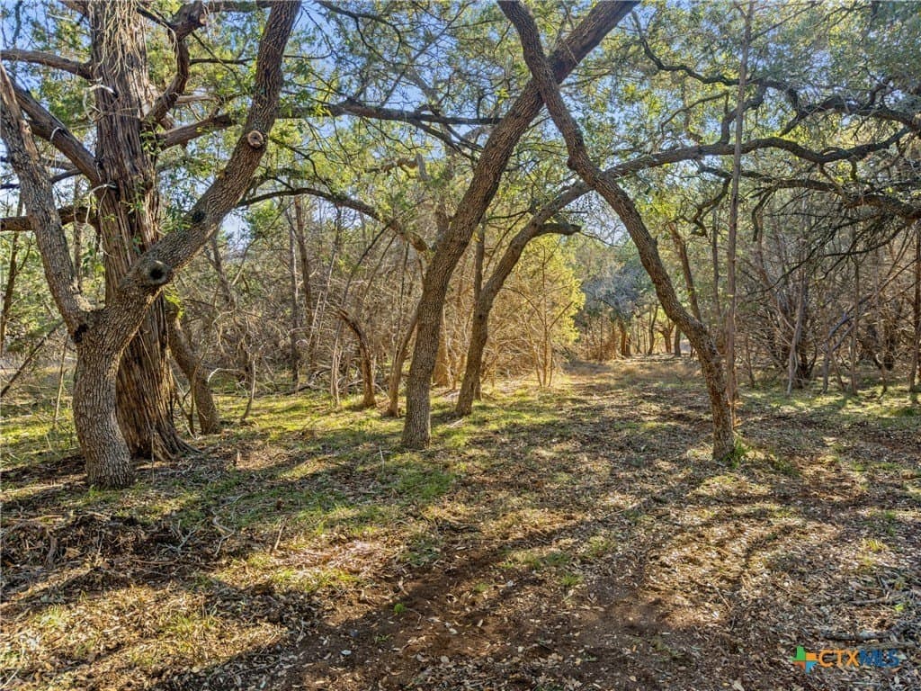 0.88 acres in Comal County - photo 2