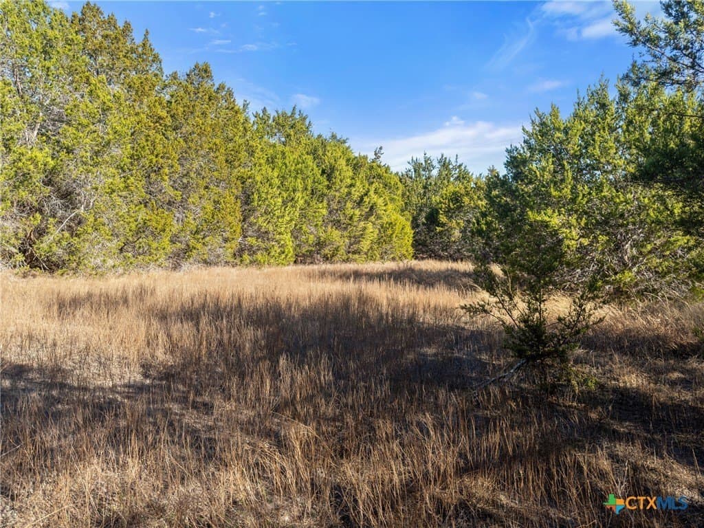 0.88 acres in Comal County - photo 14