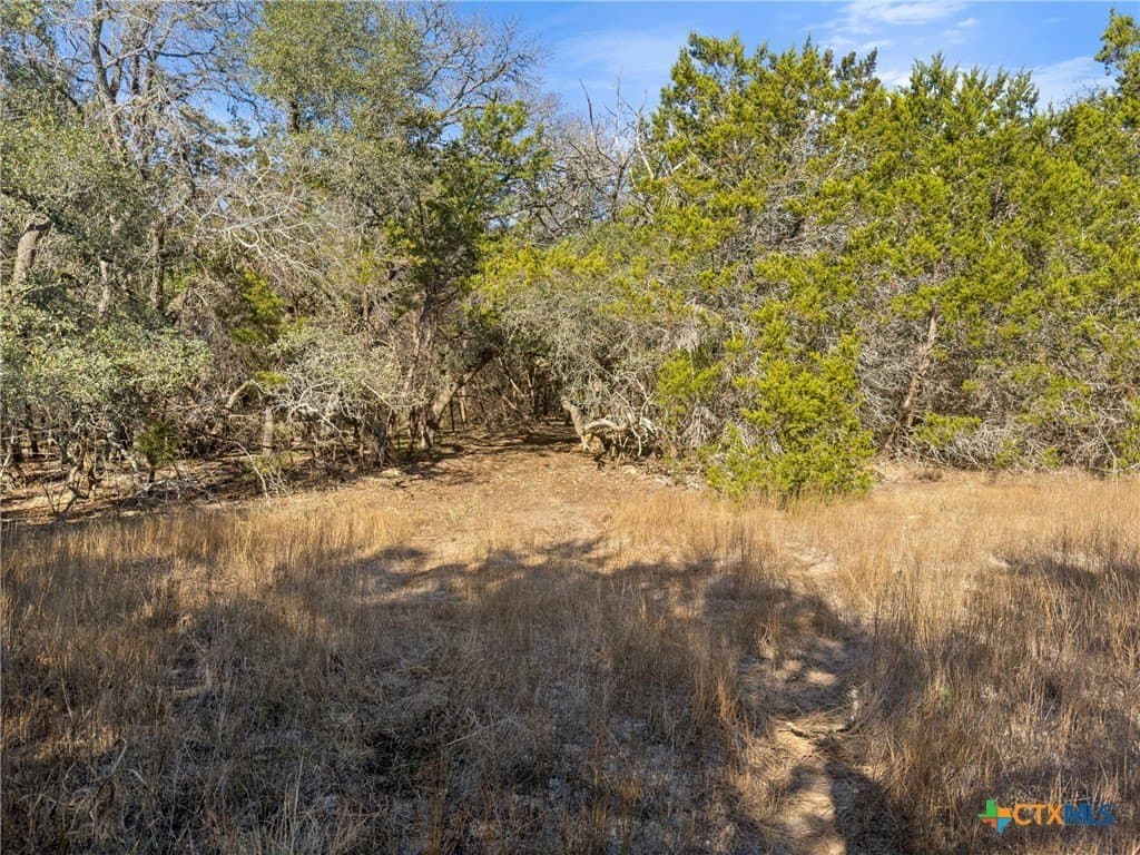 0.88 acres in Comal County - photo 15