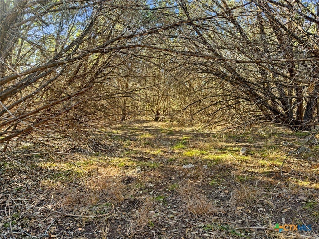 0.88 acres in Comal County - photo 6