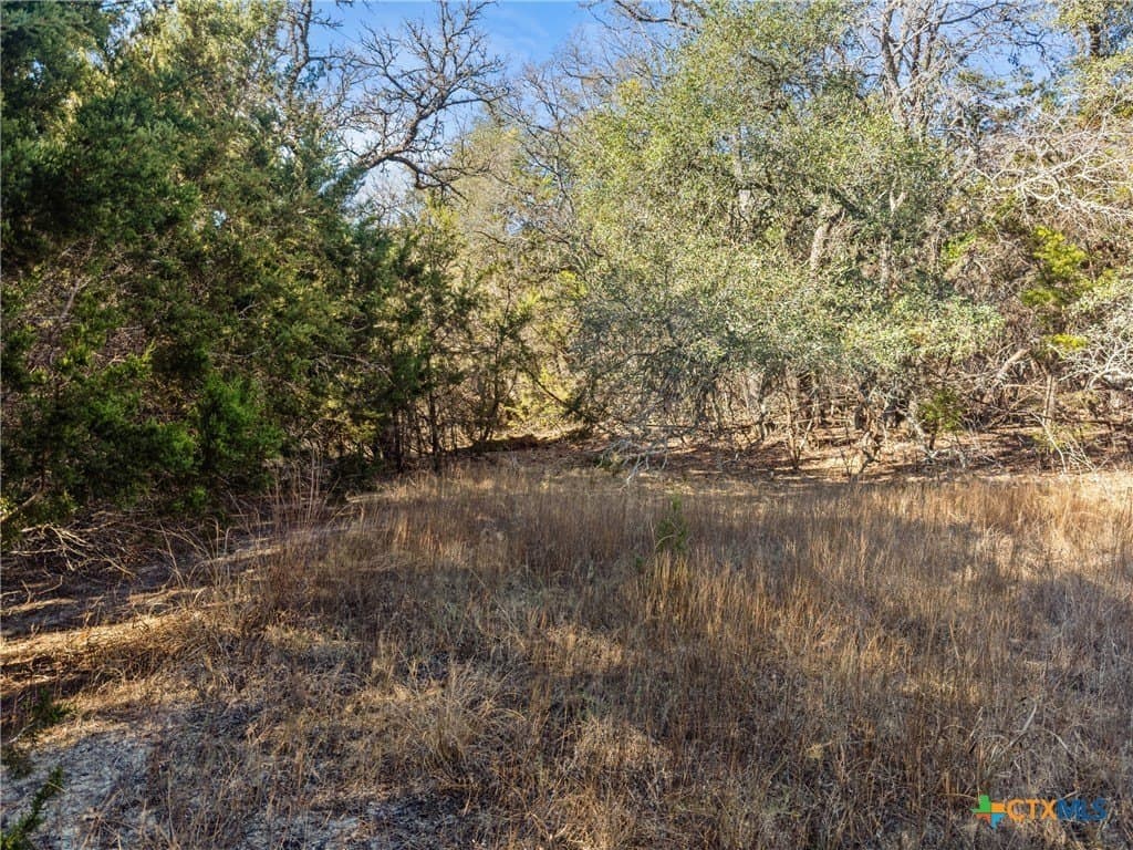 0.88 acres in Comal County - photo 16